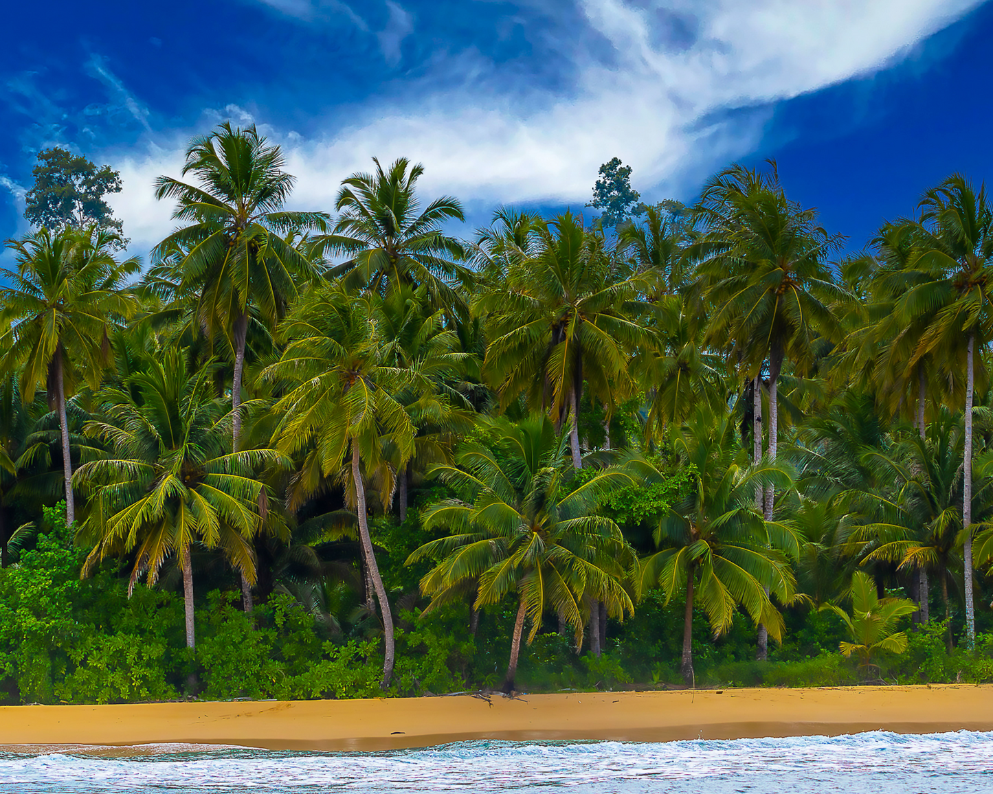 Good Times! Mentawais Surf Break