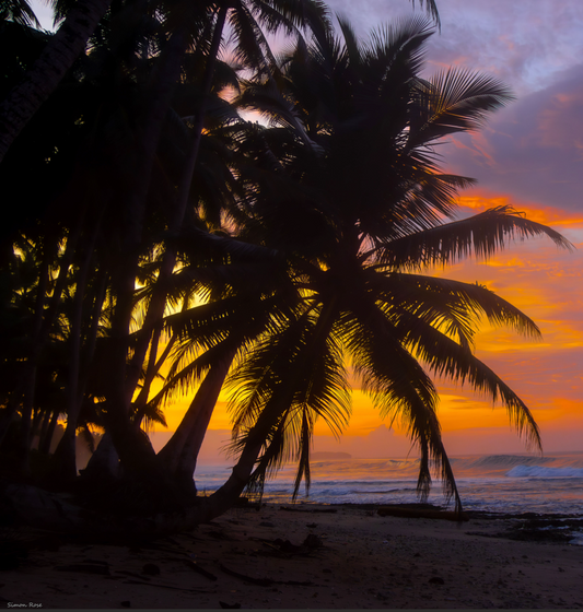 Sunrise in the Mentawai Islands