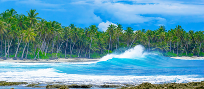 Behind the Blue, Mentawais Indonesia