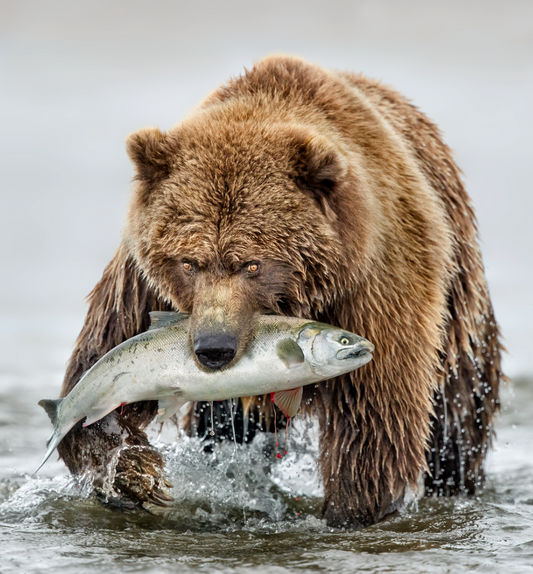 Happy Mama Bear