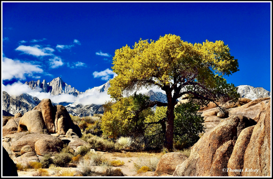 Mount Whitney & Cottonwood