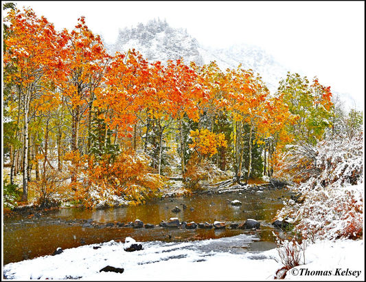 First Snow Rush Creek