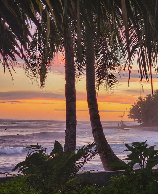 Indo Camp Life