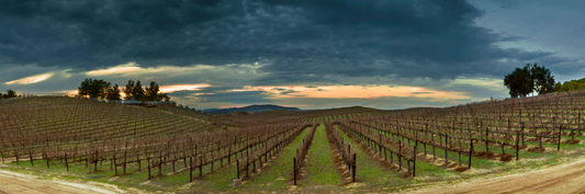 California Vintage Winter (Four Seasons)