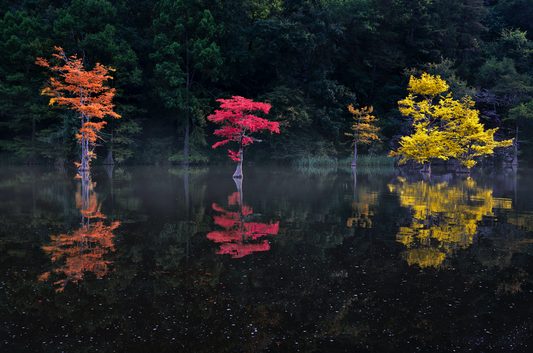Colours
