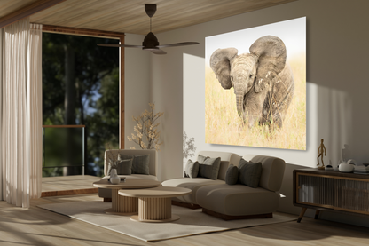 Baby Elephant