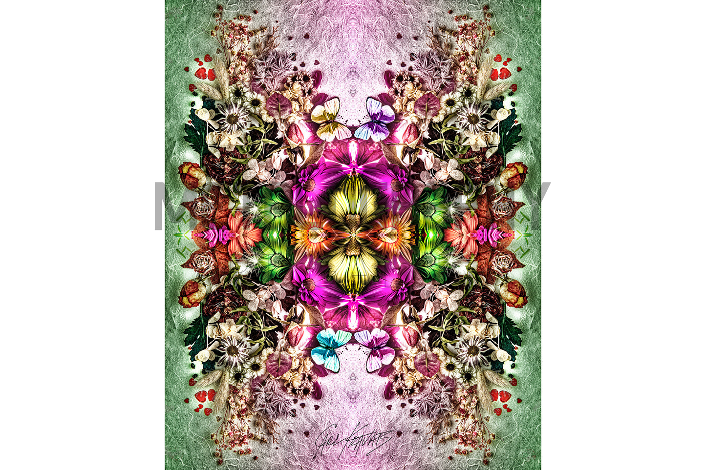 Butterflies and Flowers
