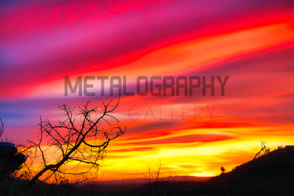 Candy Sunset
