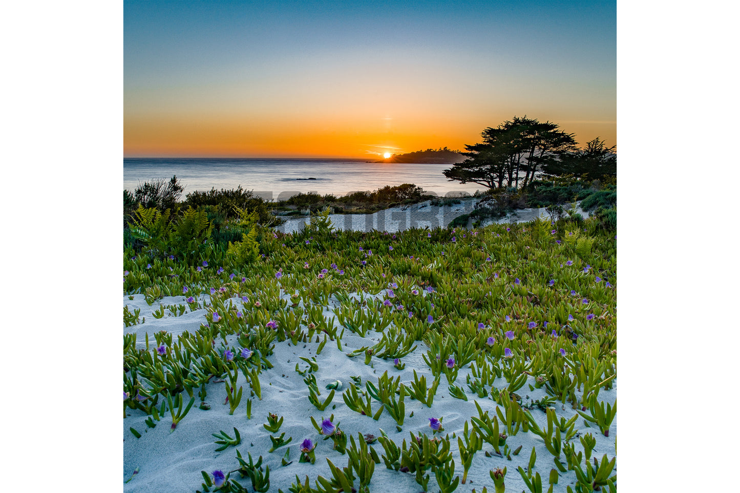Carmel by the Sea, CA