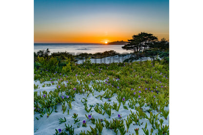 Carmel by the Sea, CA