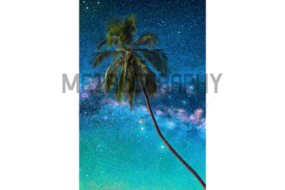 High In A Coconut Tree