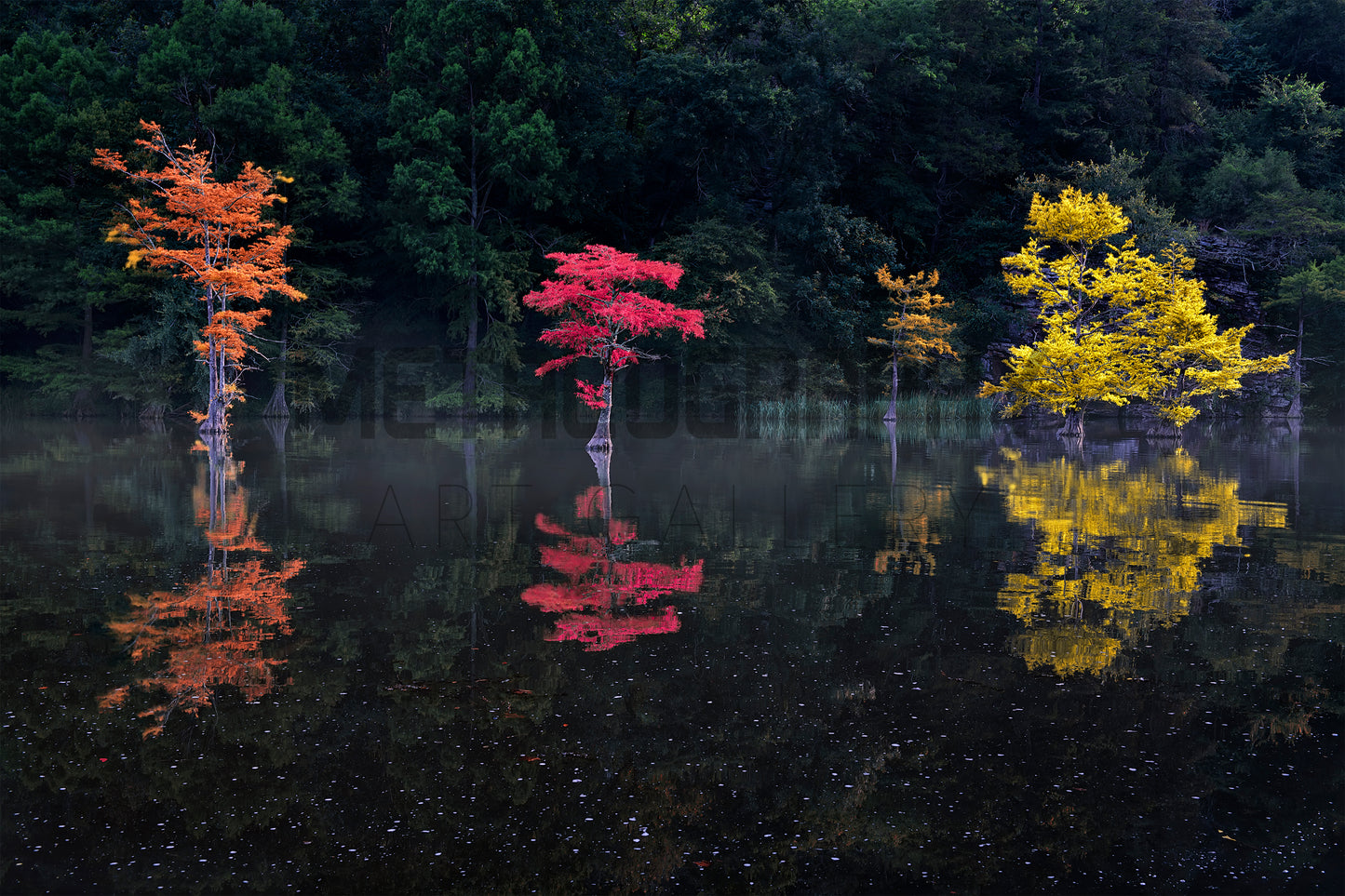 Colours