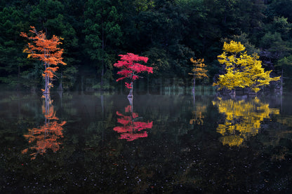 Colours