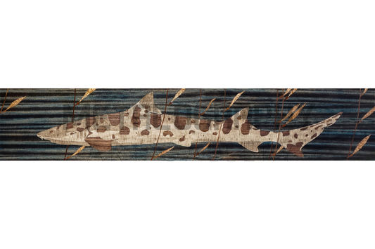 Kelp Leopard