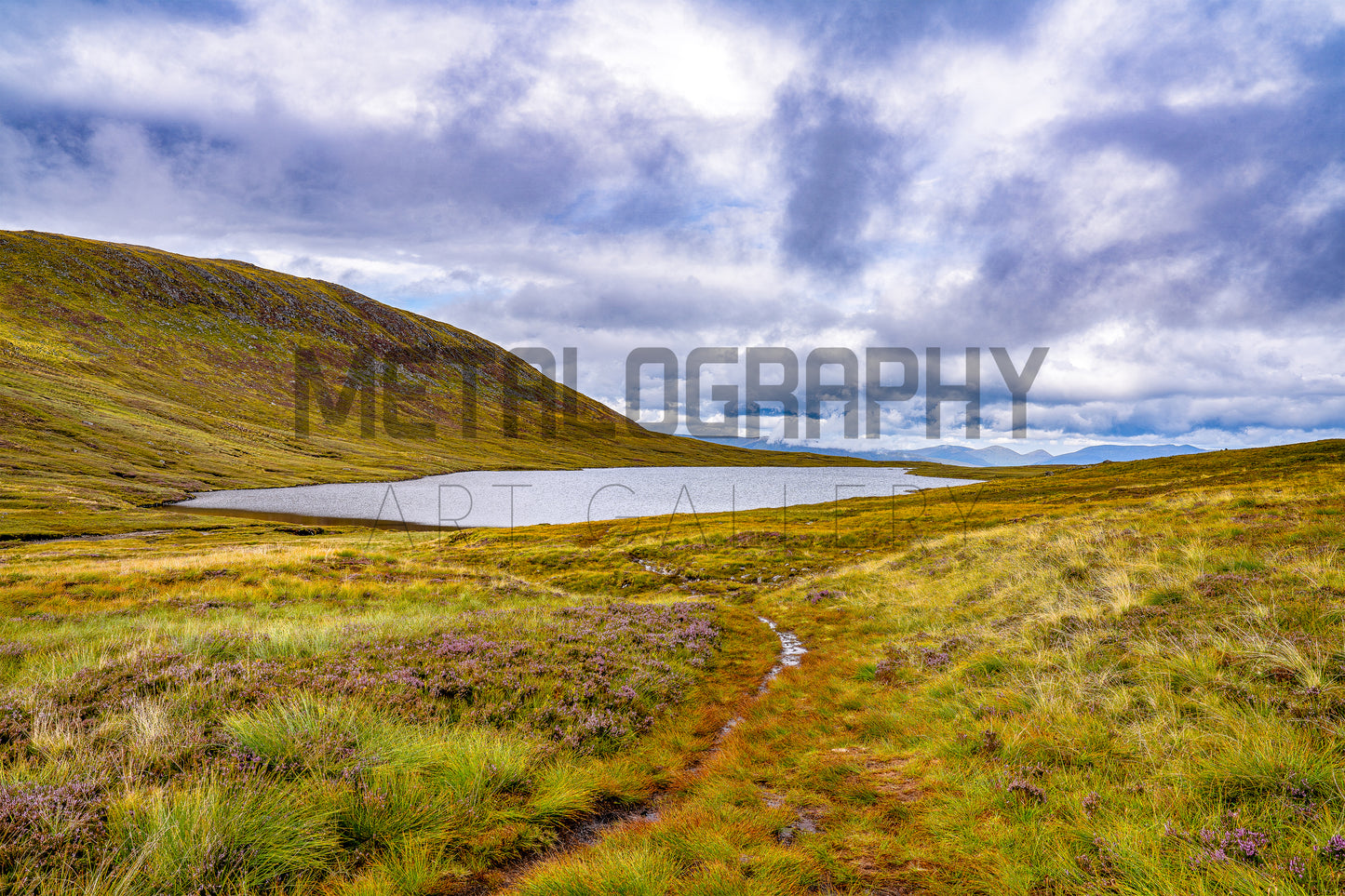 Lone Lake
