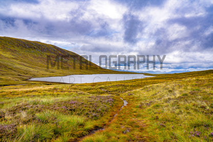 Lone Lake