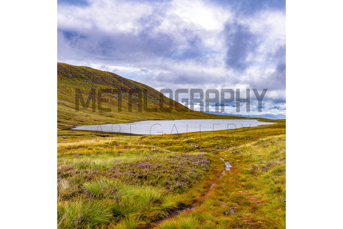 Lone Lake (Square)
