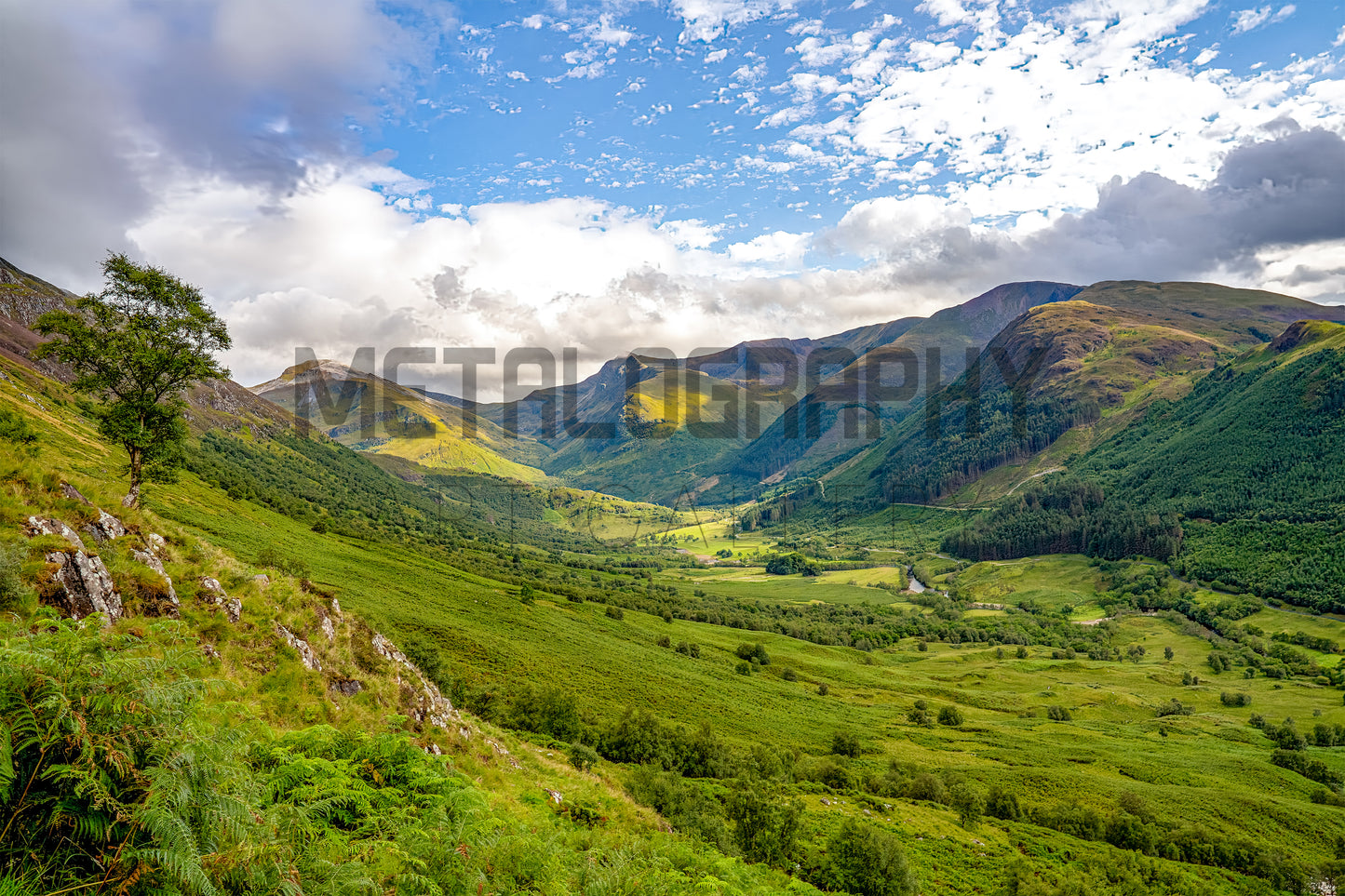 Scottish Lands