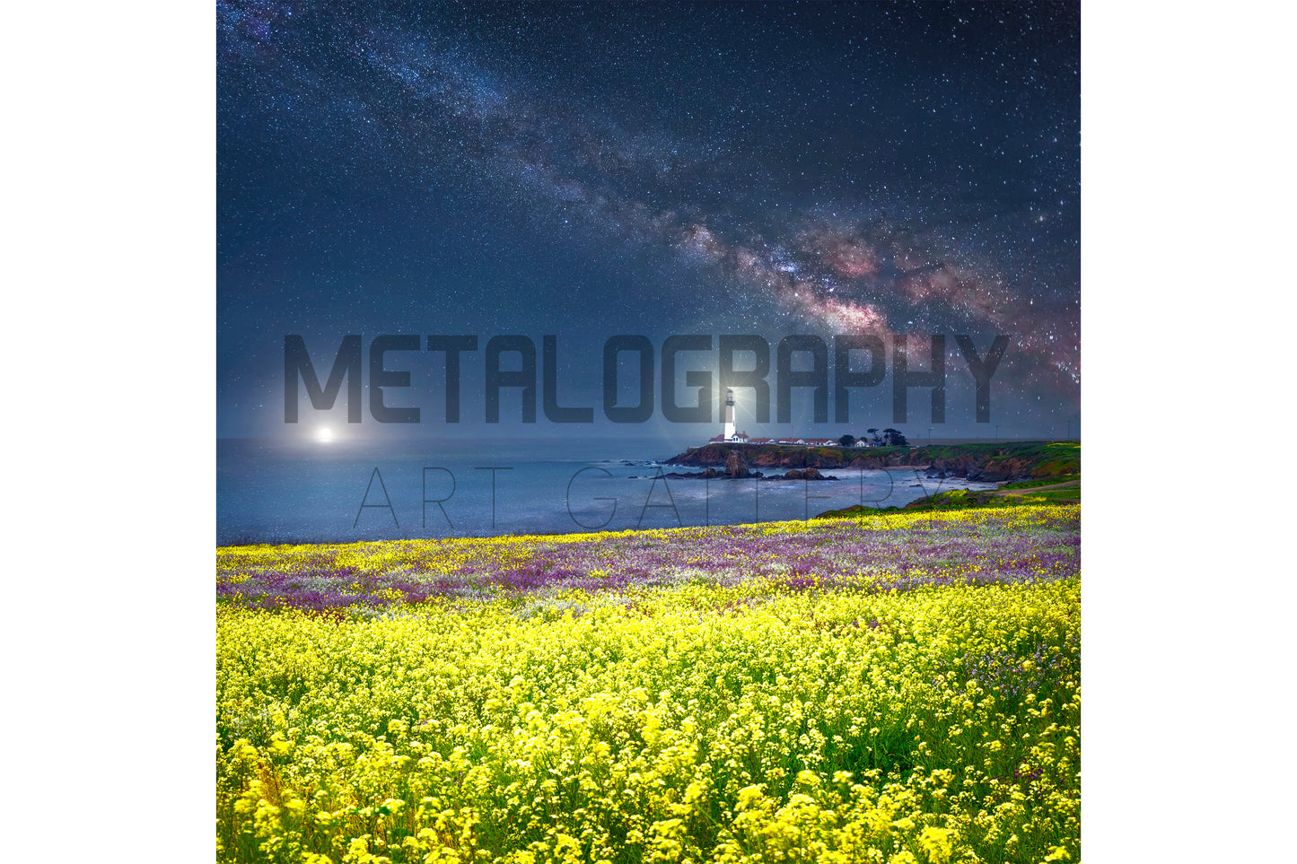Sea of Love