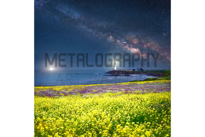 Sea of Love