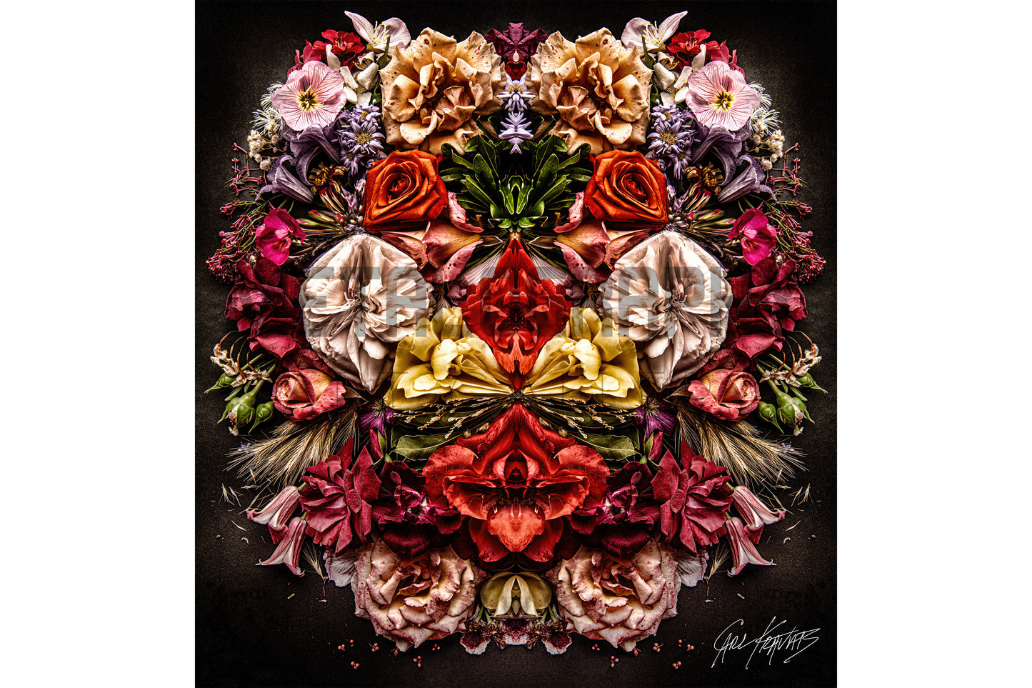 Sofia's Roses
