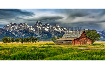 Spring Enters Grand Teton Like a Lion LIMITED EDITION