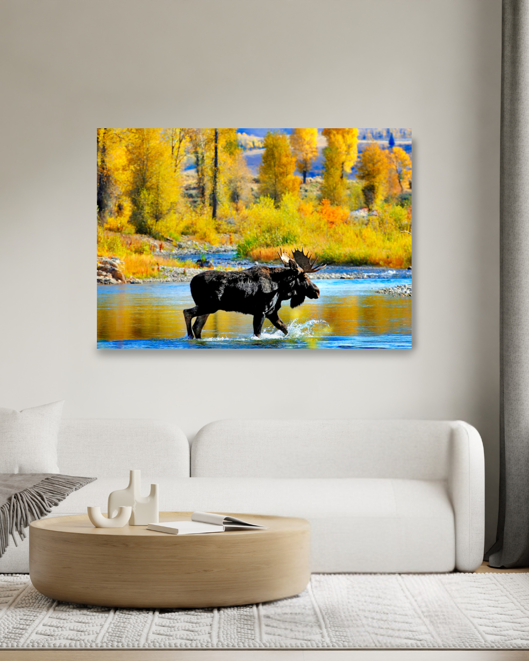 Moose Crossing, Grand Tetons National Park
