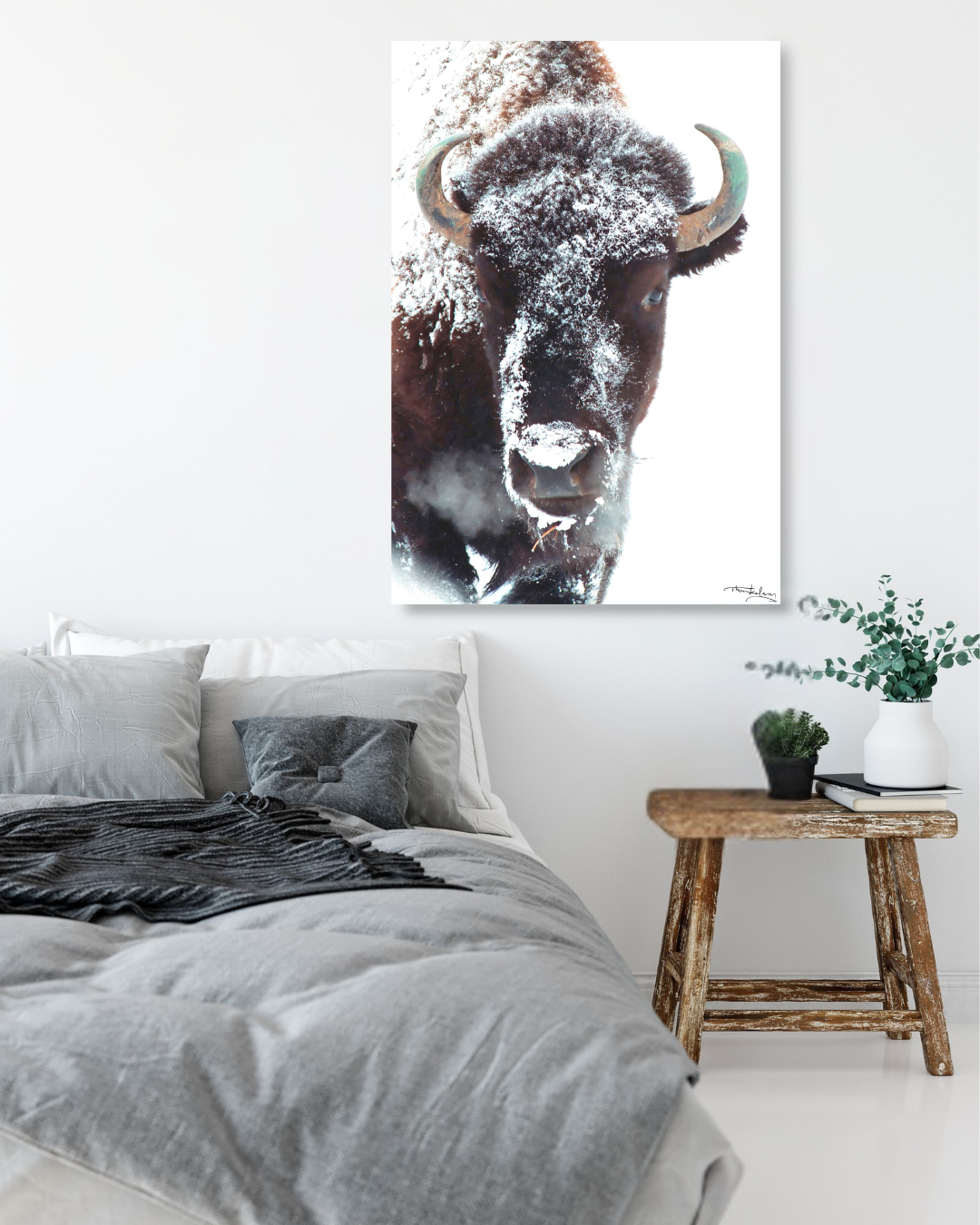 Evergreen Bison