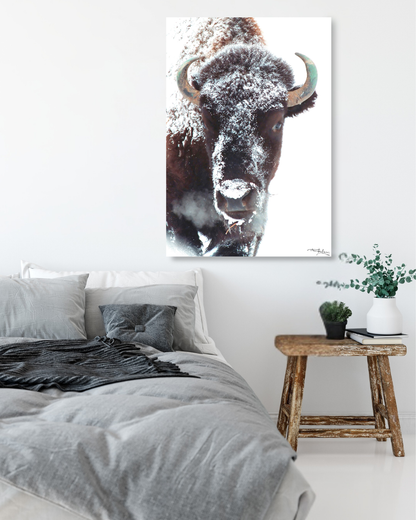 Evergreen Bison