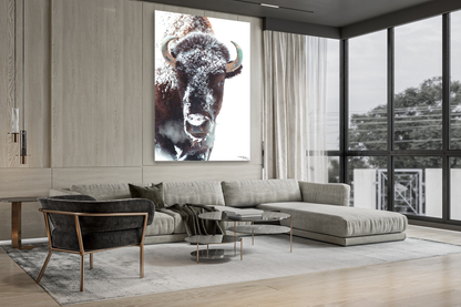 Evergreen Bison